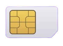 Sim Ownership